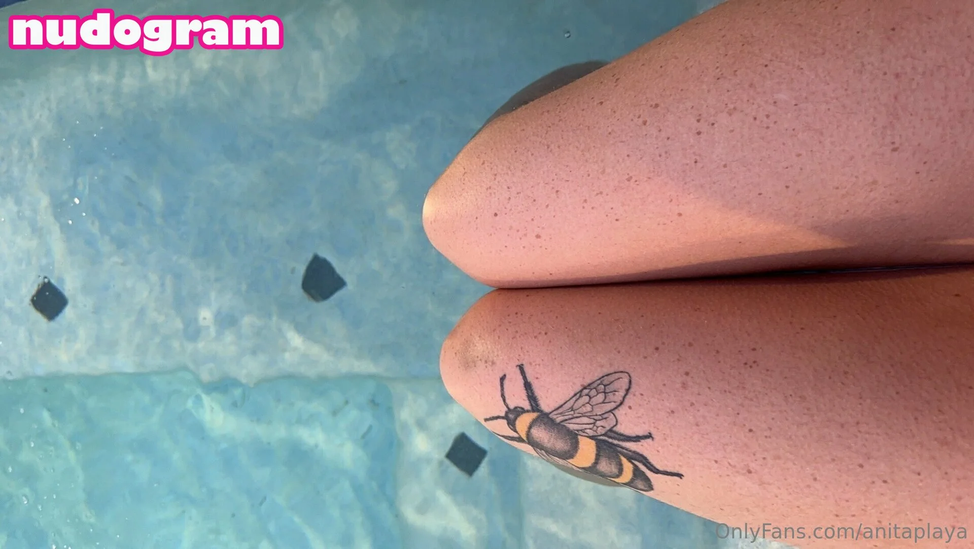 anita playa (VIP) 💜