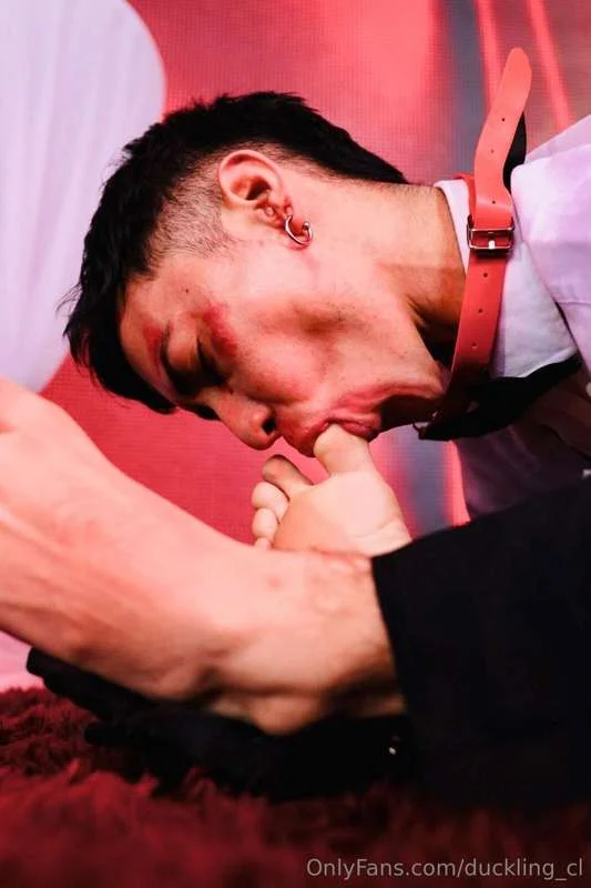 Duckling_cl