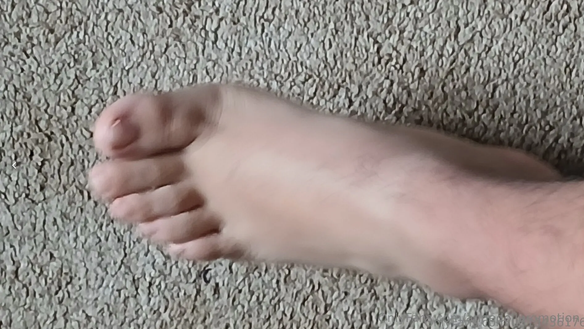 Anne Doll Promotion™