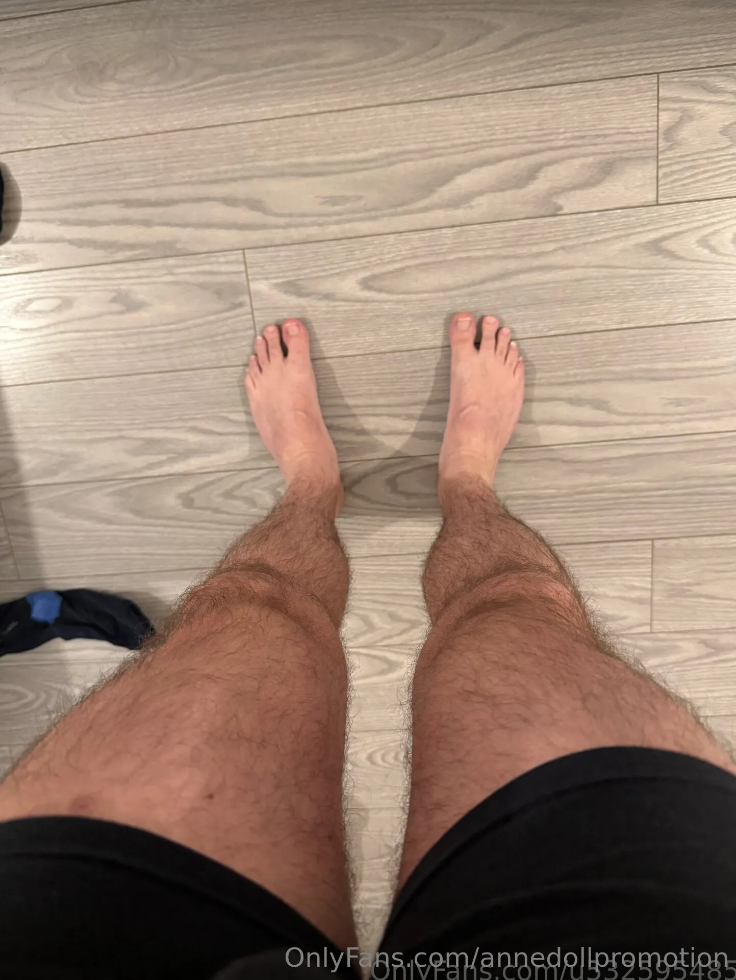 Anne Doll Promotion™