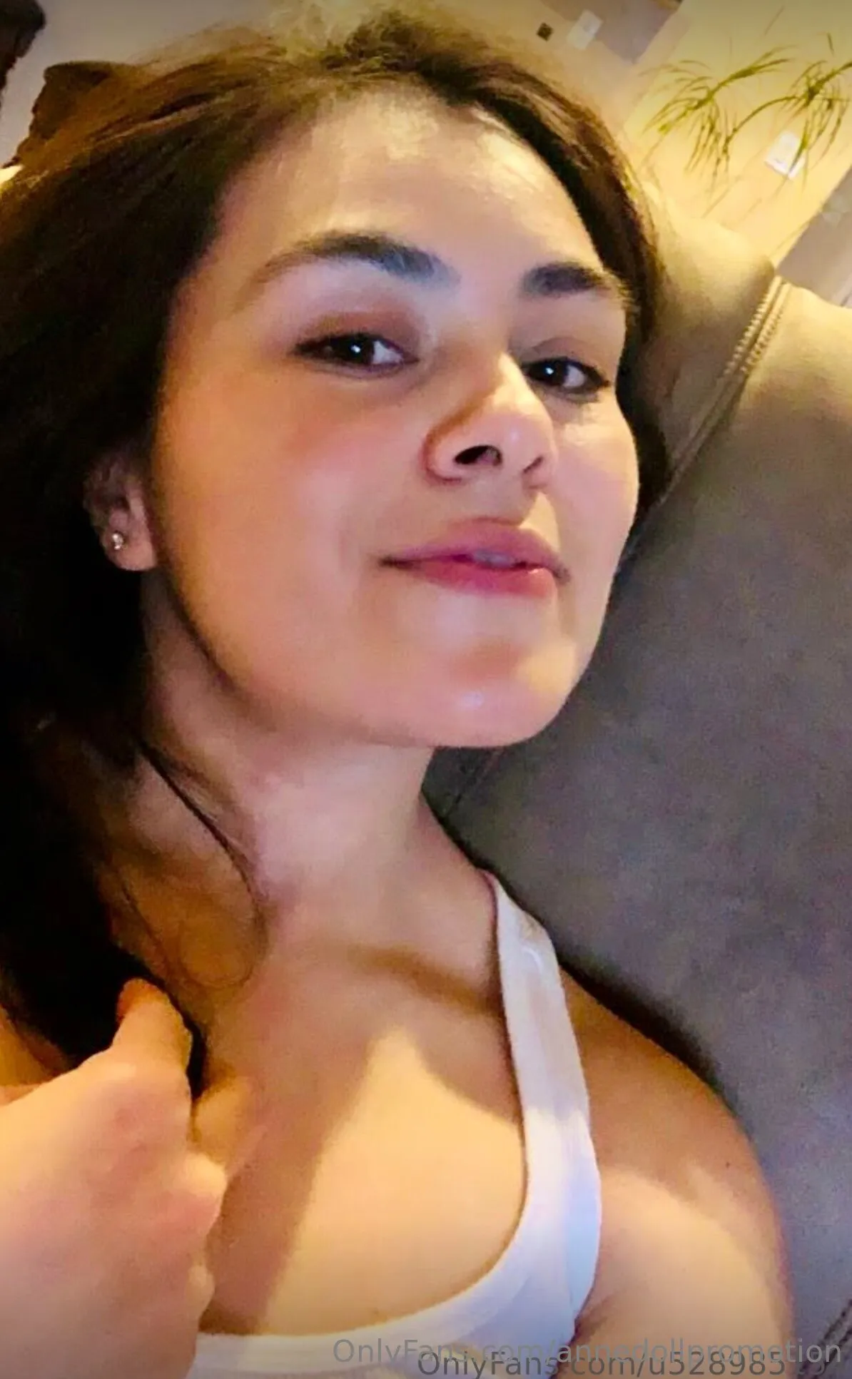 Anne Doll Promotion™