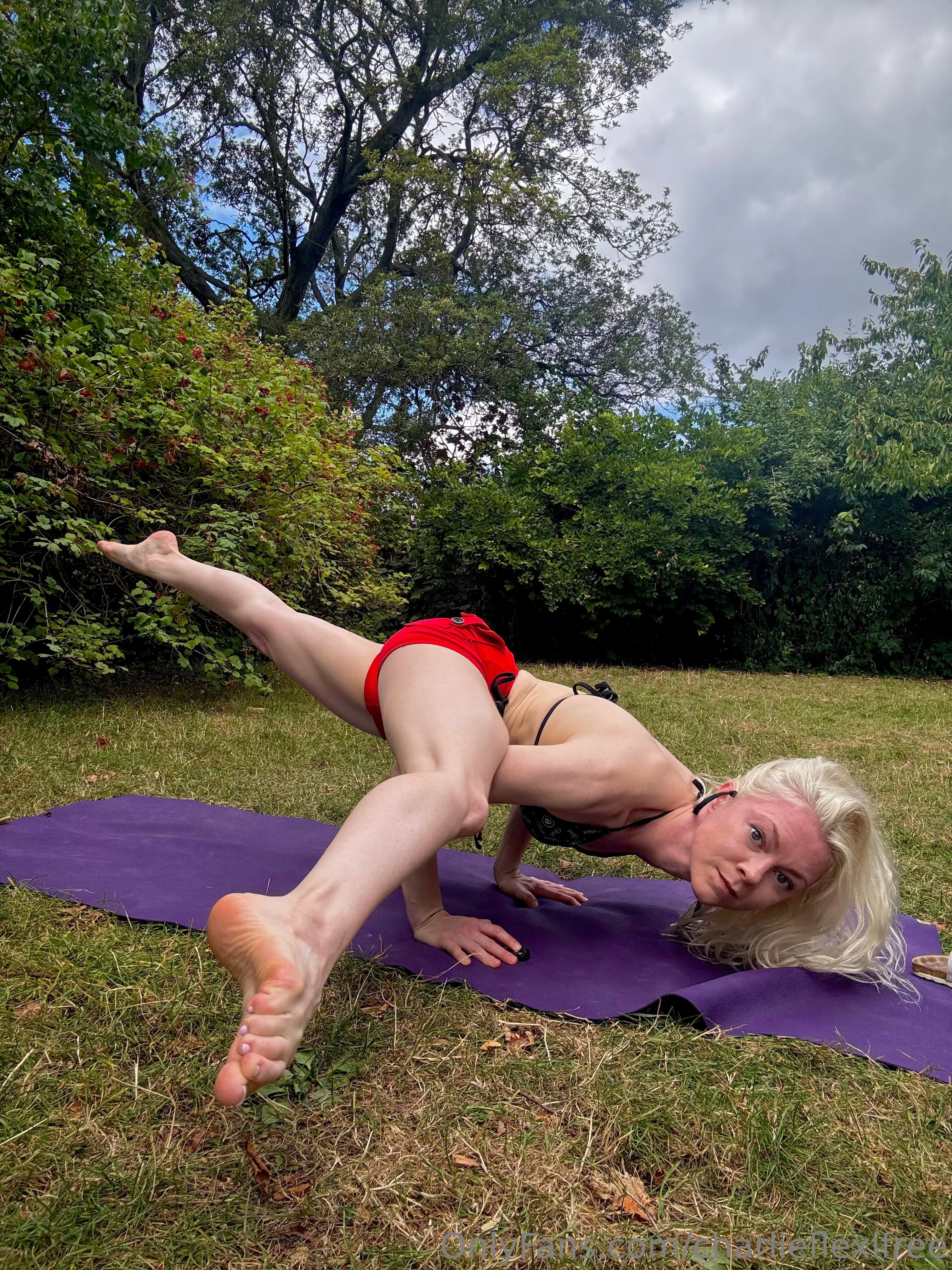 Charlie Flexi FREE 🌻