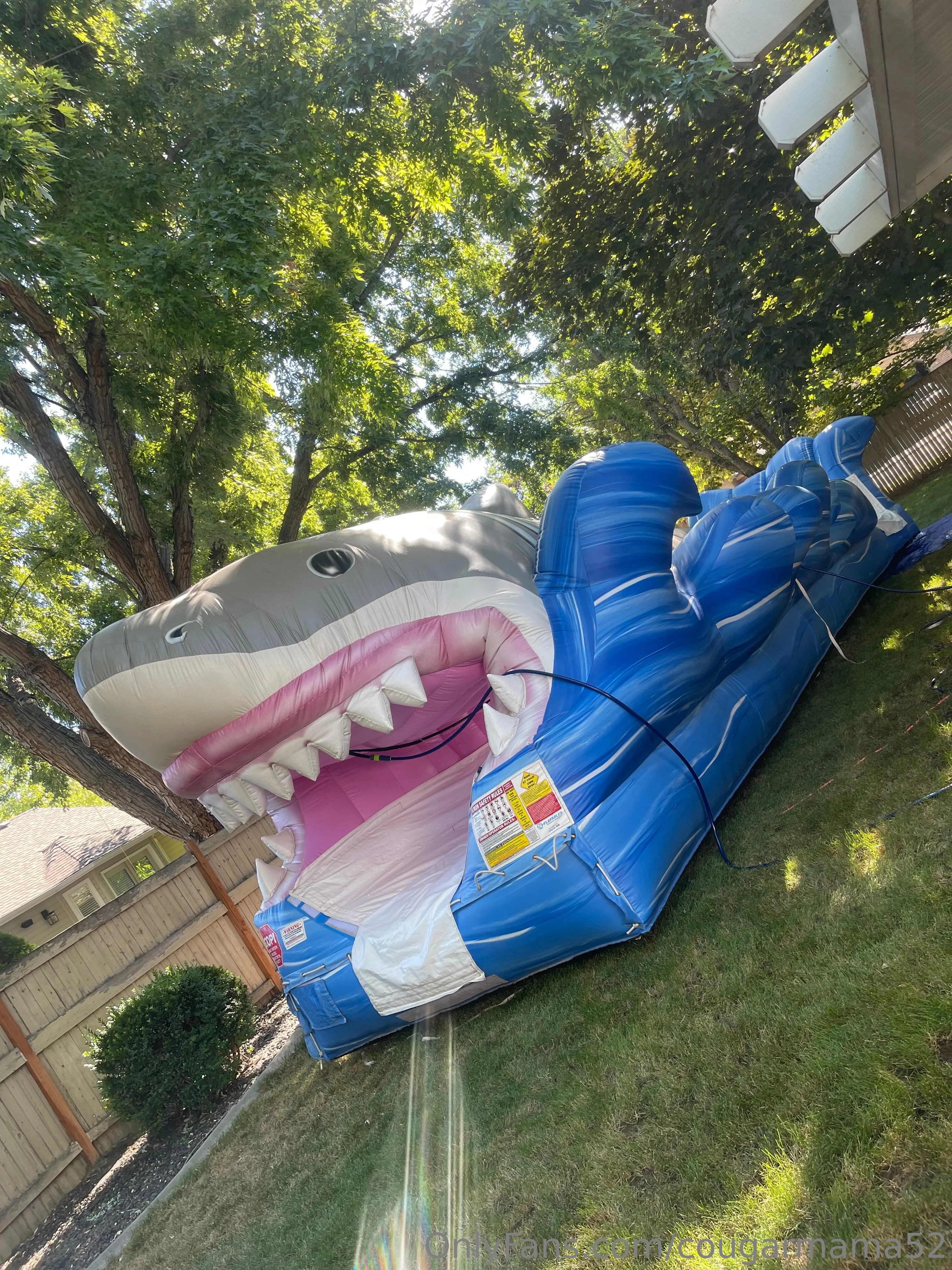 Cougar Mama Candace (Candy Redwing)