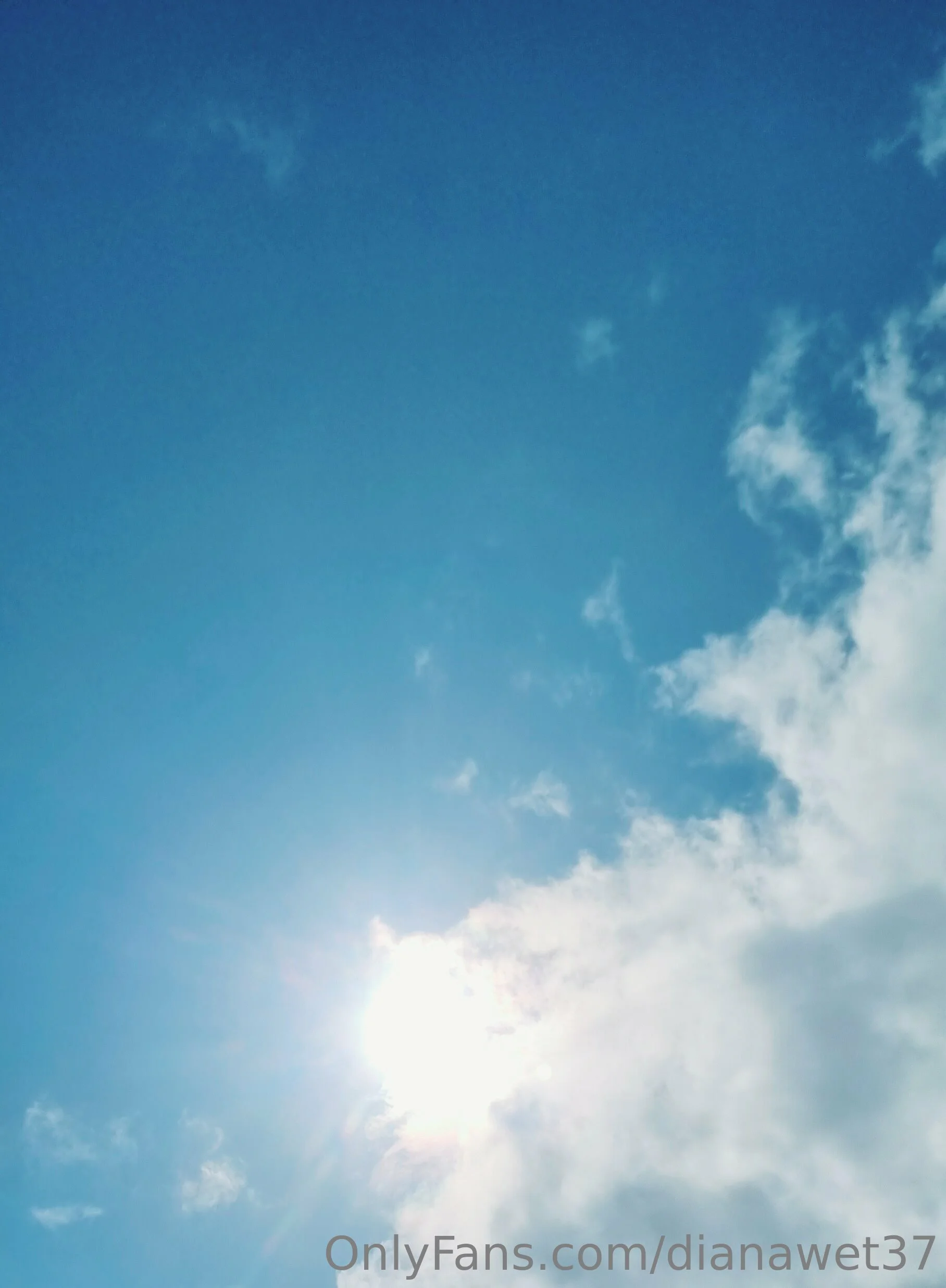 Diana Wet 37