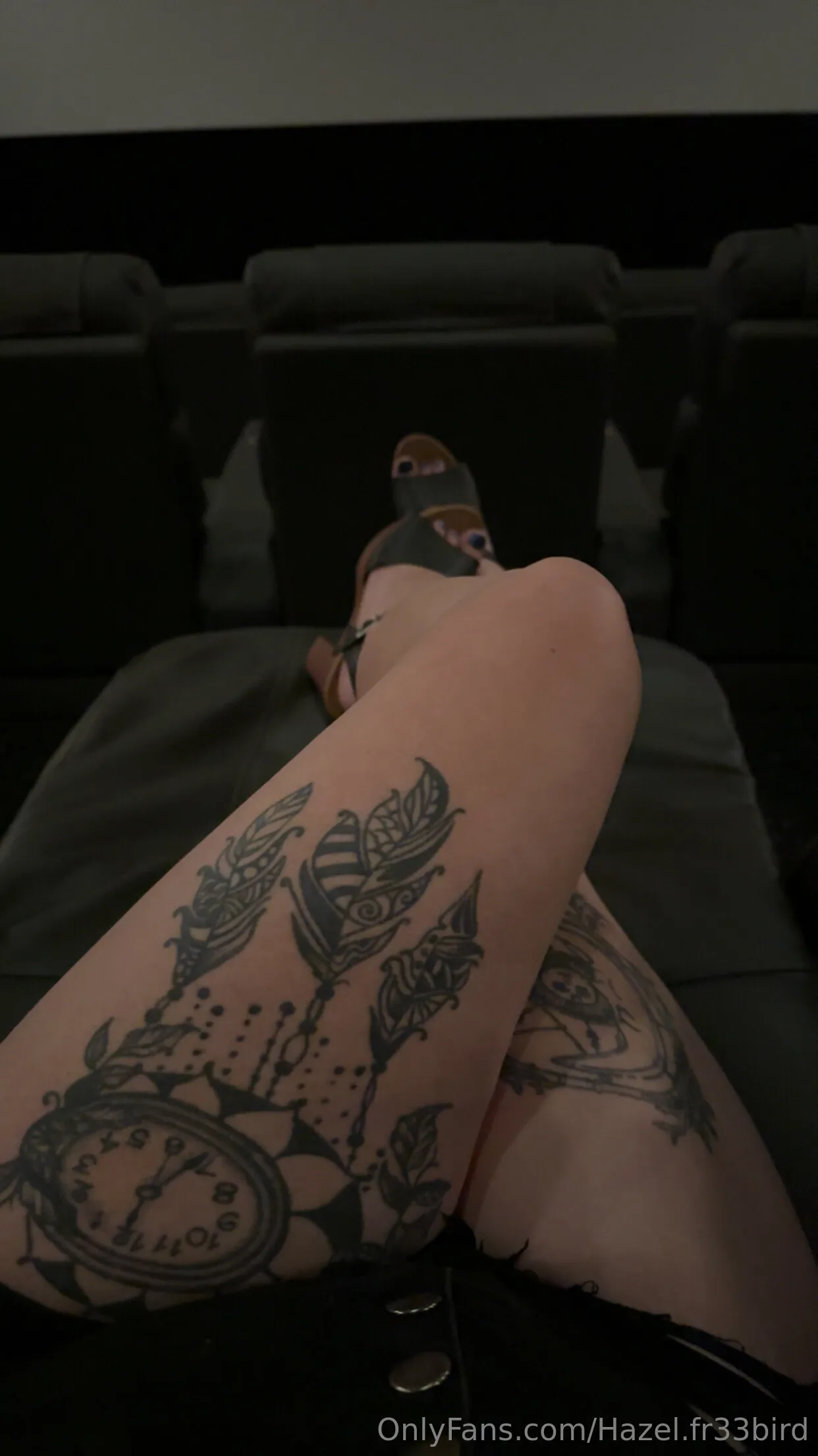 Hazel.fr33bird