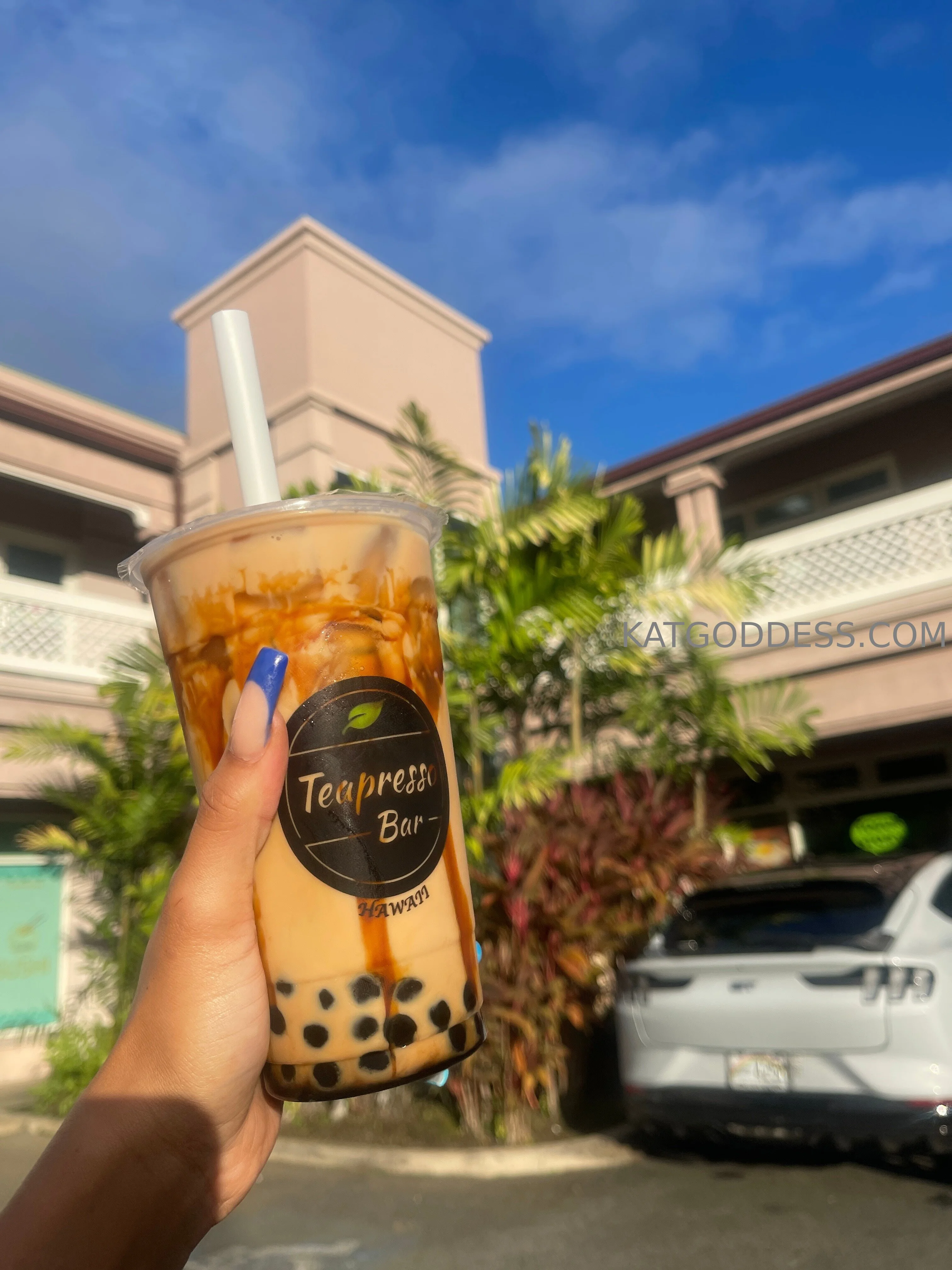 𝐊𝐚𝐭'𝐬 𝒱𝐼𝒫 ✨ 𝑒𝒷𝑜𝓃𝓎 𝒢𝐹𝐸 🍫🍭