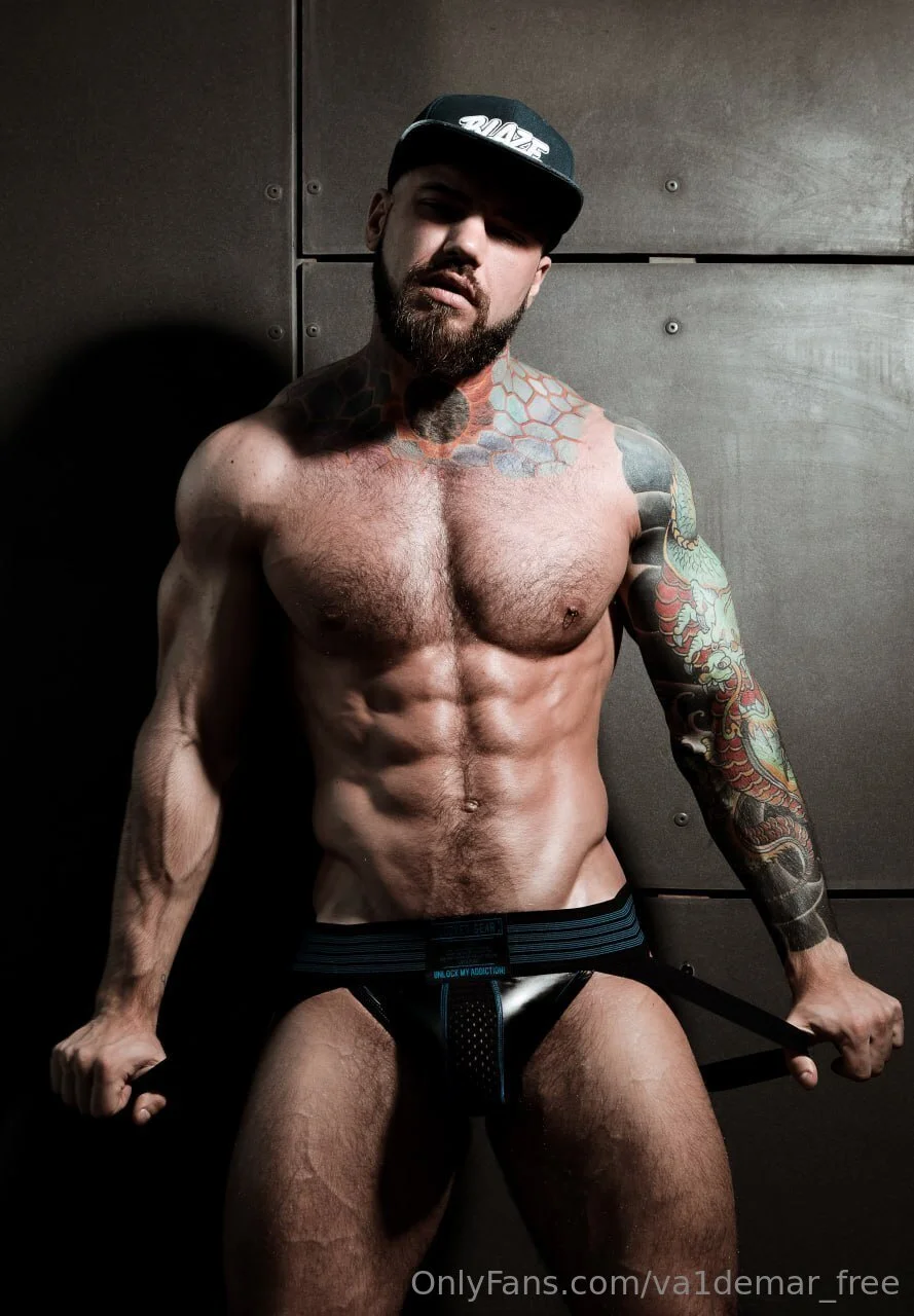 Valdemar Santana Videos Gallery 🎥