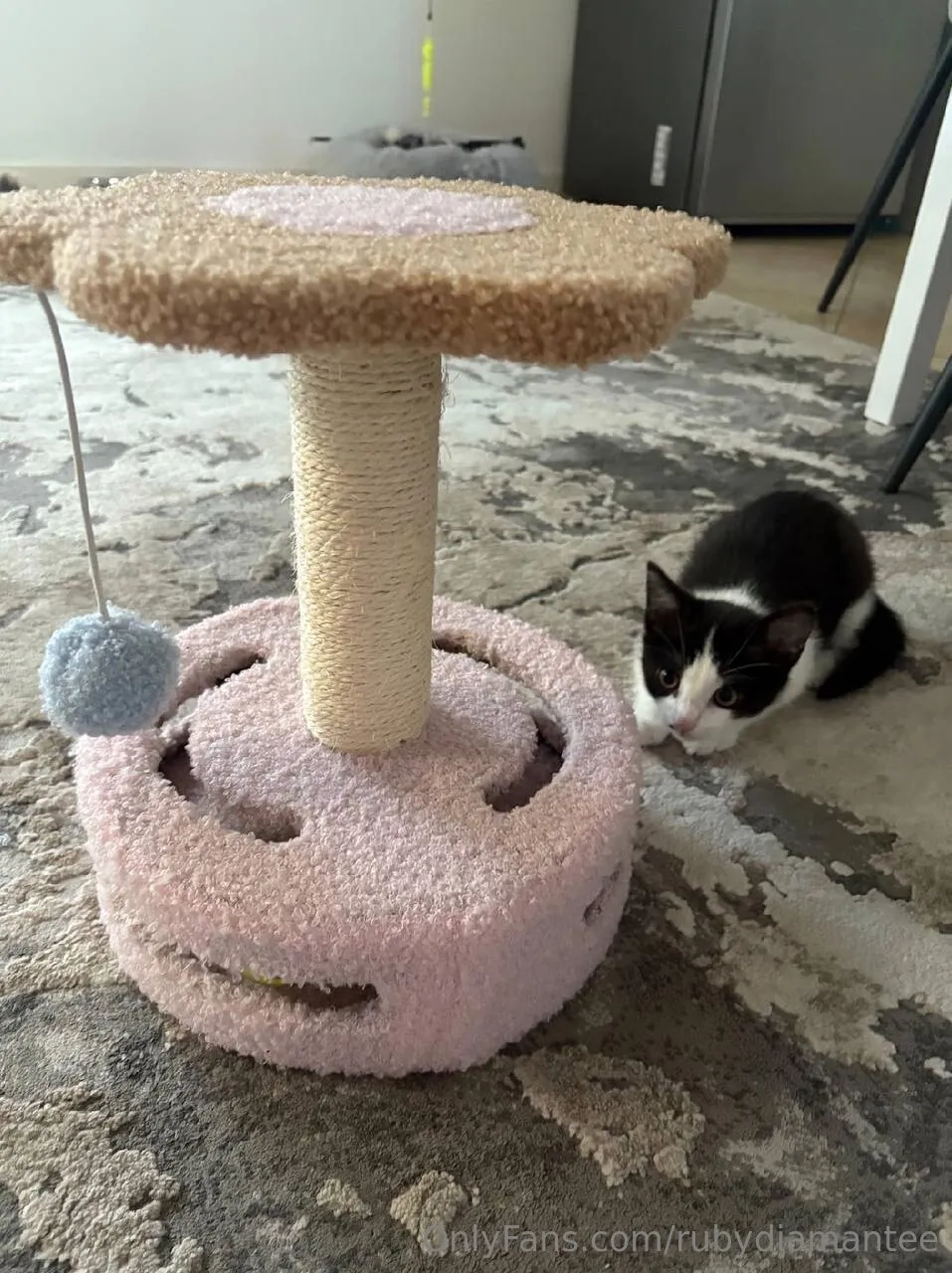 💜 𝑹𝒖𝒃𝒚 ⚧️ 𝐓𝐒 💜