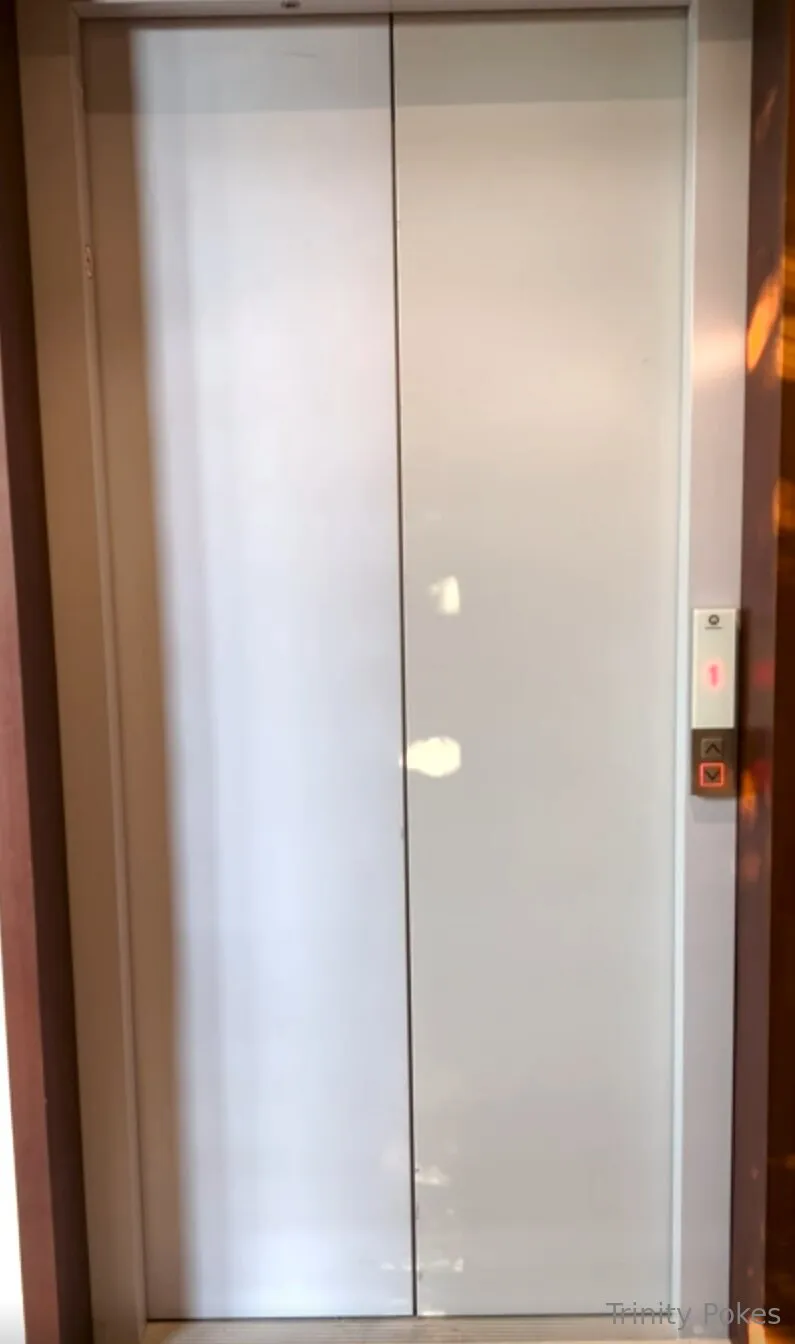 Trinity Eclectic🟢