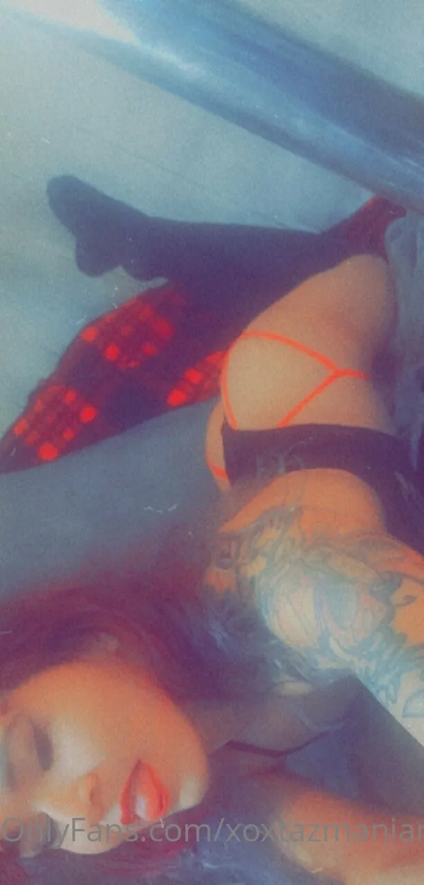 xoxTazmanianDevilxox