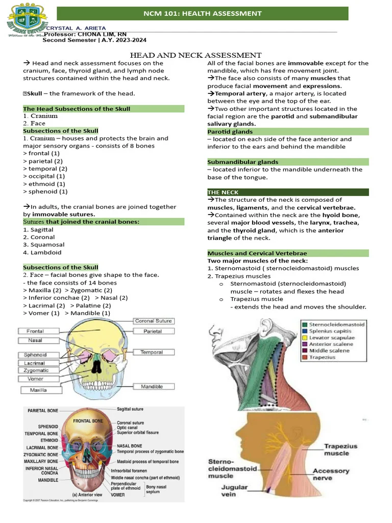 Illustration showing clinical examination sequence for diagnosing ear pain, including otoscopy and head and neck assessment