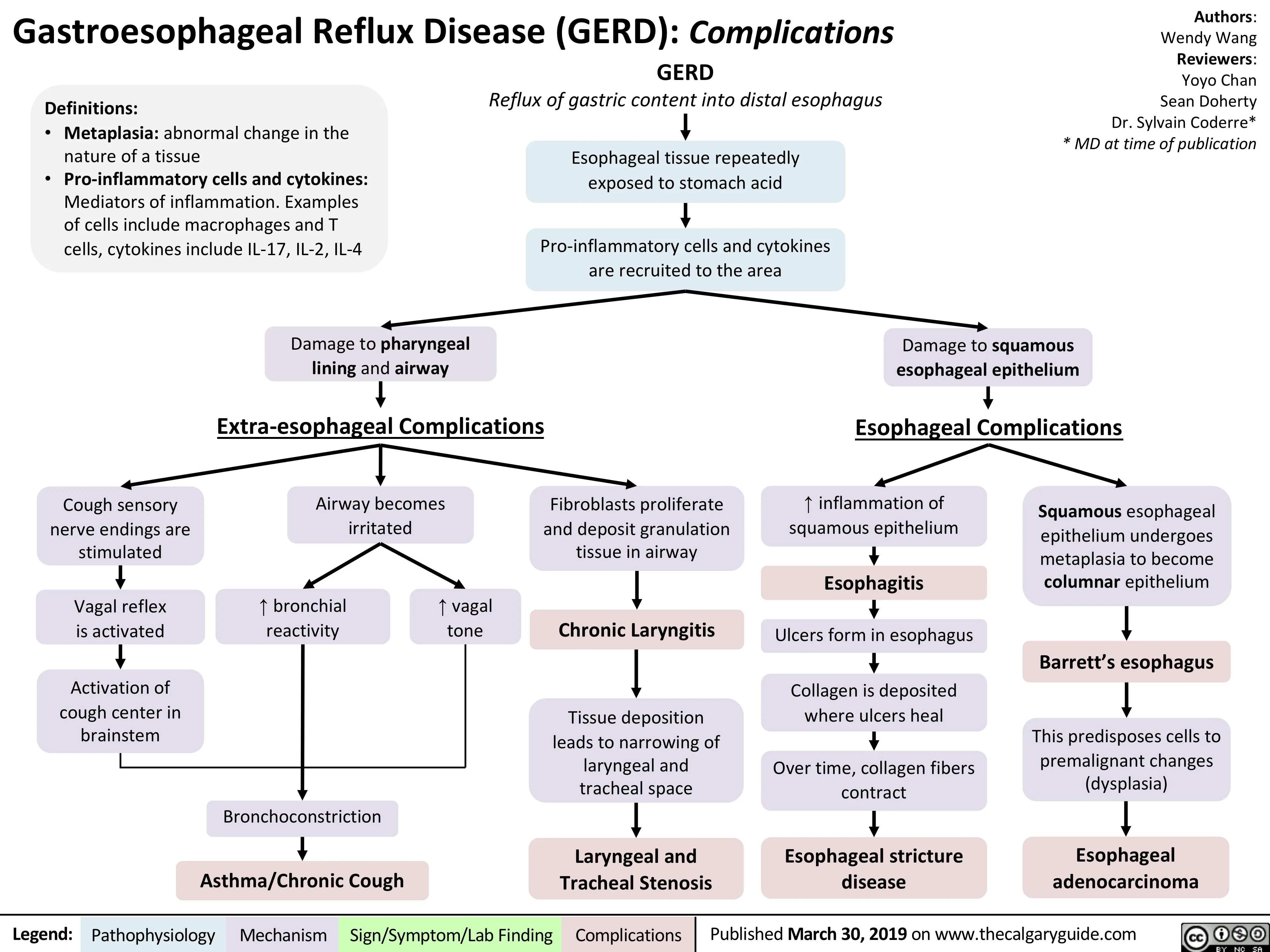 Diagram showing progression of GERD complications from mild reflux to esophagitis and Barrett's esophagus.