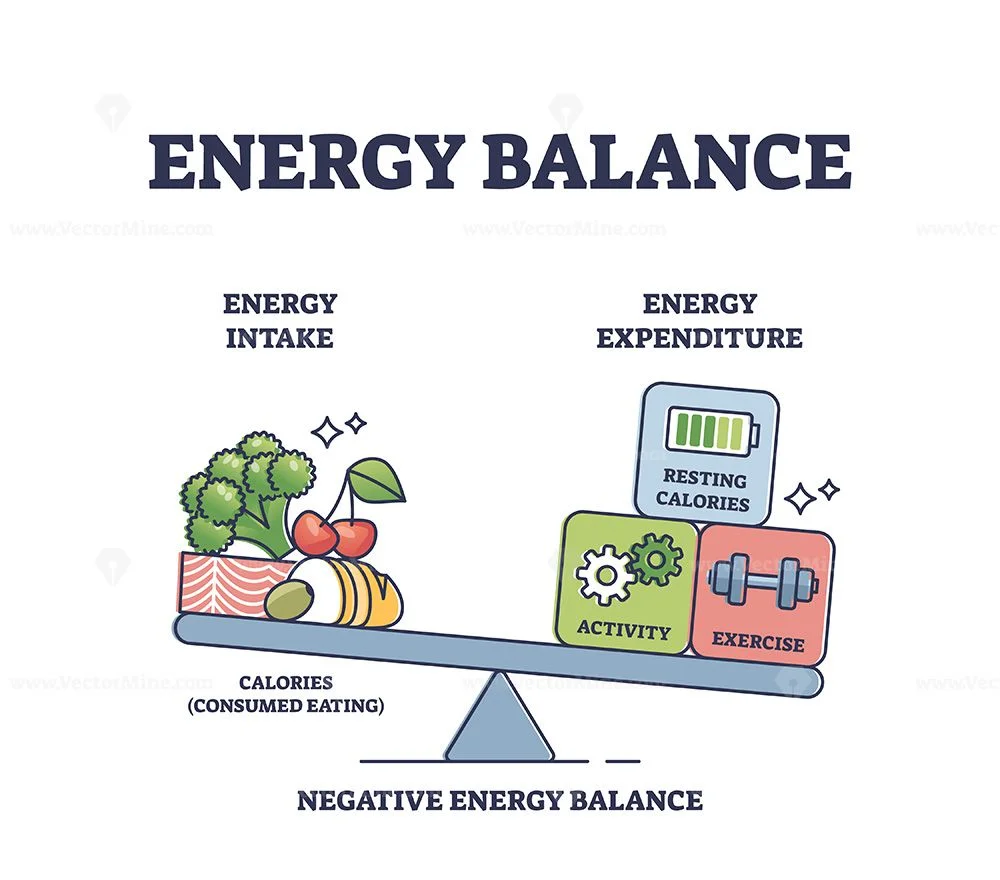 Diagram showing how hormones and environment interact to regulate energy balance and weight gain through metabolism, diet, and daily activity.